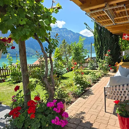 Swiss Alps * Niederried bei Interlaken