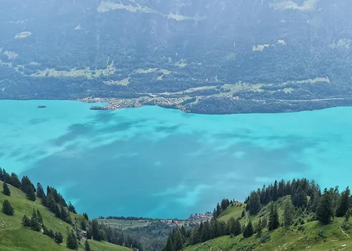 Swiss Alps Apartmán