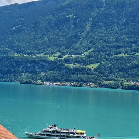 Swiss Alps Appartement