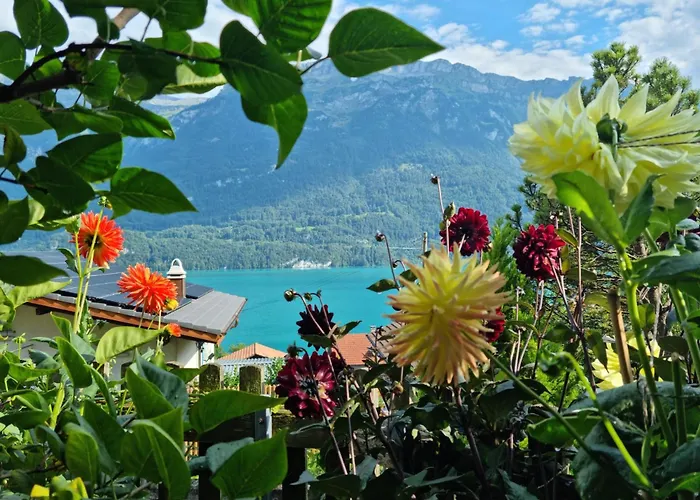 Appartement Swiss Alps Niederried bei Interlaken