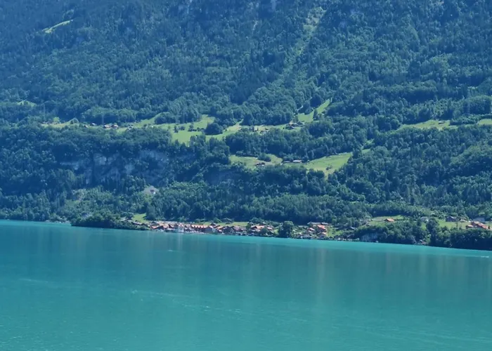 Swiss Alps Appartement