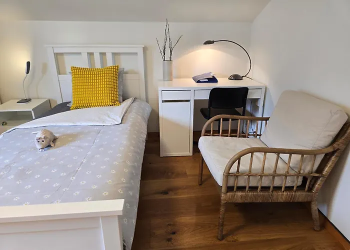Swiss Alps Appartement