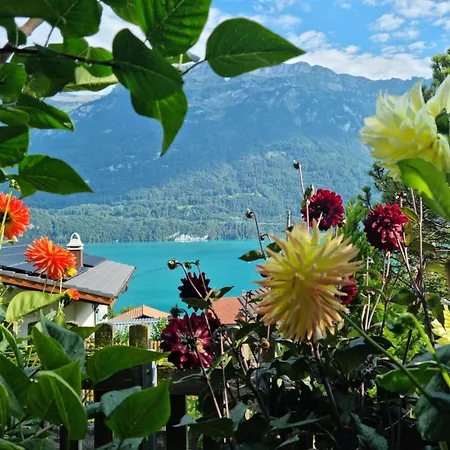 Apartman Swiss Alps Niederried bei Interlaken