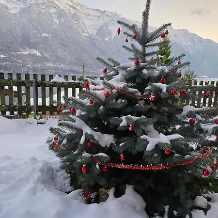 Swiss Alps * Niederried bei Interlaken